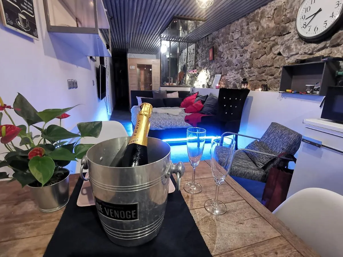 Sweet Loft Grenoble-Love Room Avec Jacuzzi & Sauna Grenoble